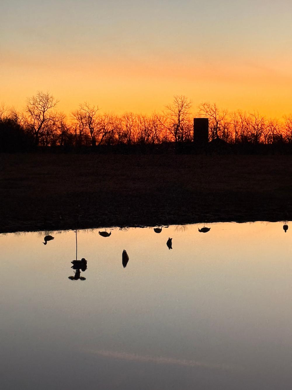 A scenic sunset landscape with a warm orange and yellow sky, silhouetted trees and a small structure on the horizon, and a calm reflective pond below showing the dark silhouettes of ducks and a hanging bird feeder.