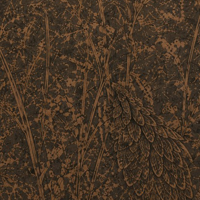 Dark brown and black textured wallpaper featuring a detailed embossed pattern of grass blades and a large feather.