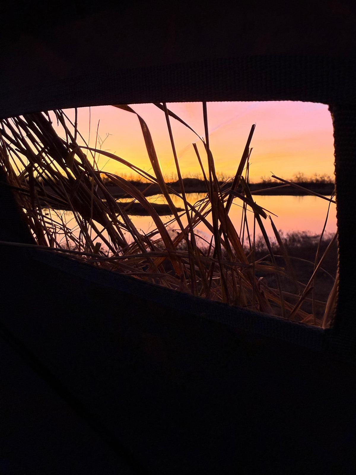 A scenic sunset view through a dark opening, showing tall reeds silhouetted against a pink, orange, and yellow sky over calm water.